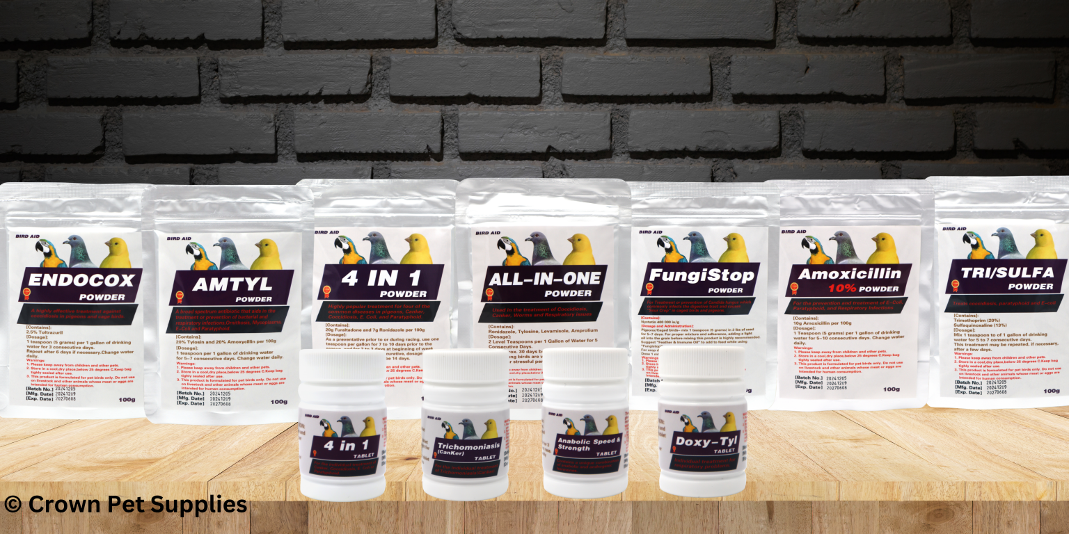 Complementing Electrolytes and Chicken Vitamins: Boosting Flock Health and Egg Production