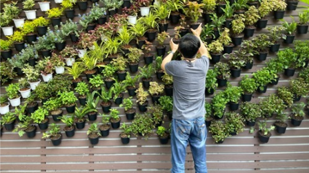 vertical garden tower