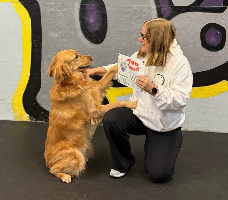 Why Crunchy Dog Treats Are a Favourite Among Modern Pet Owners